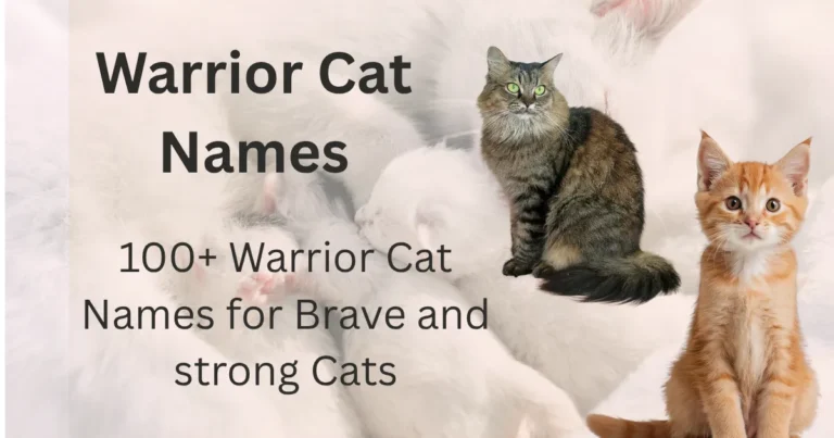 Warrior Cat Names