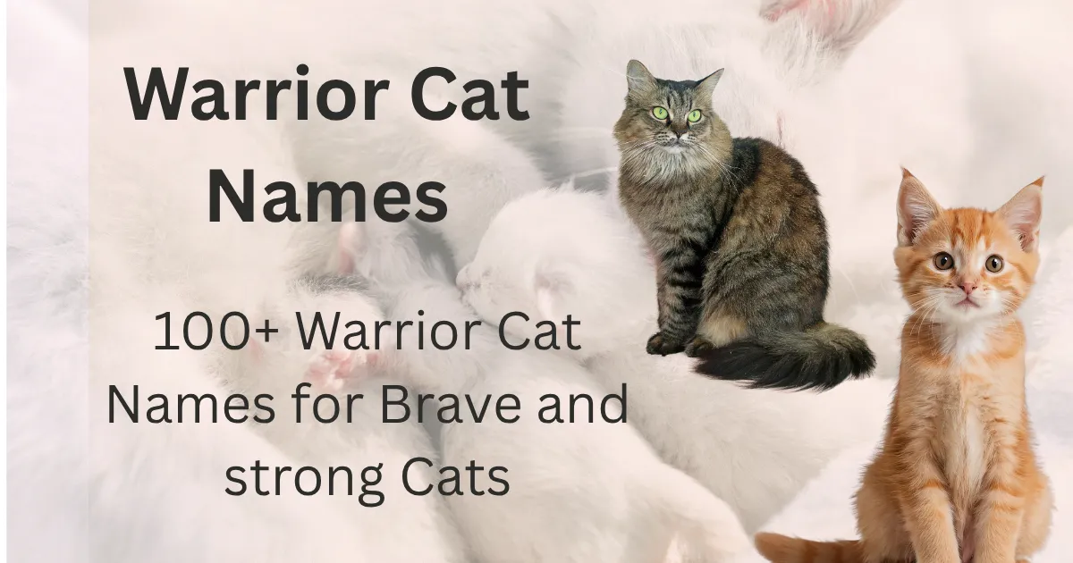 Warrior Cat Names