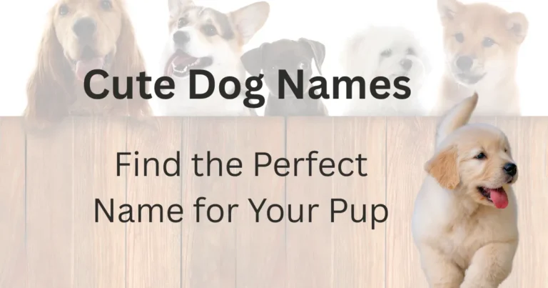 Cute Dog Names