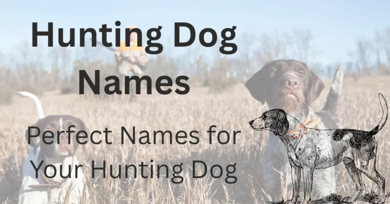 Hunting Dog Names