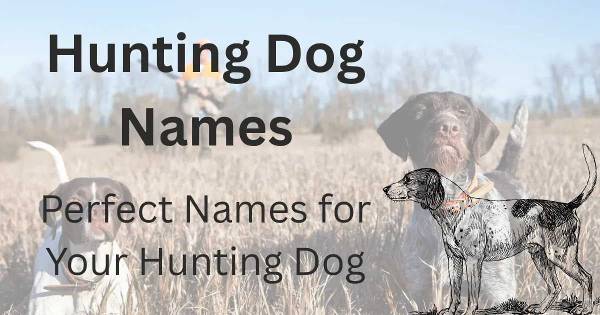 Hunting Dog Names