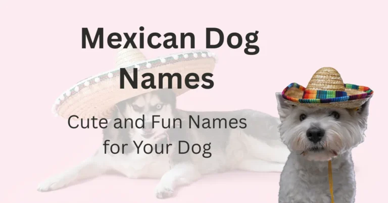 Mexican Dog Names 