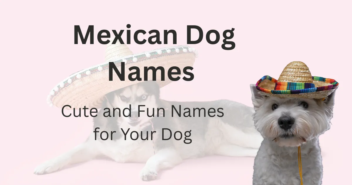 Mexican Dog Names 