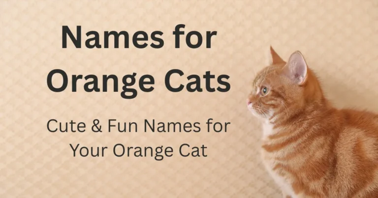 Names for Orange Cats