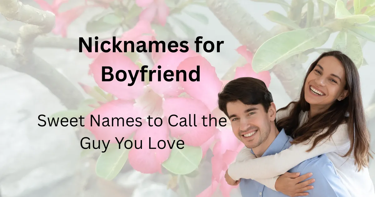 Nicknames for Boyfriend