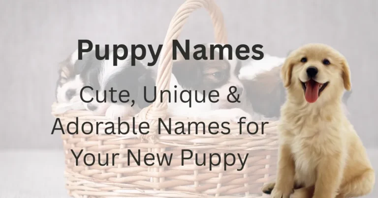 Puppy Names