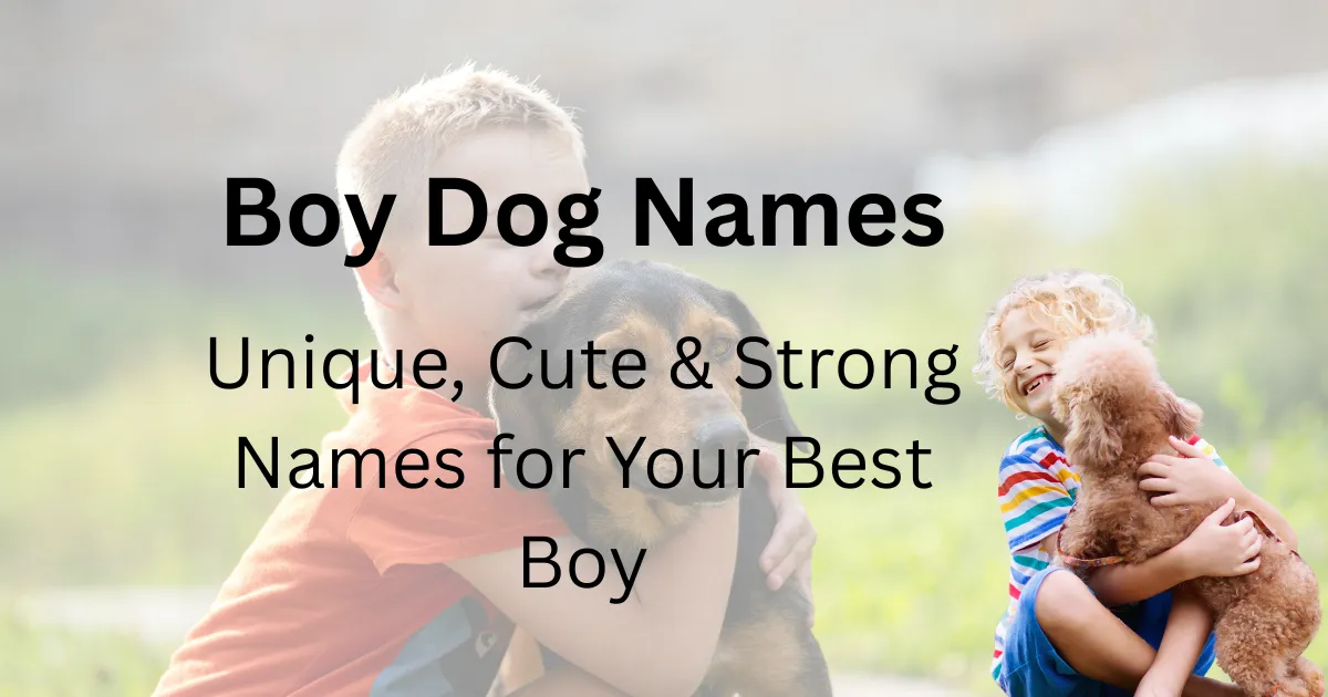 Boy Dog Names
