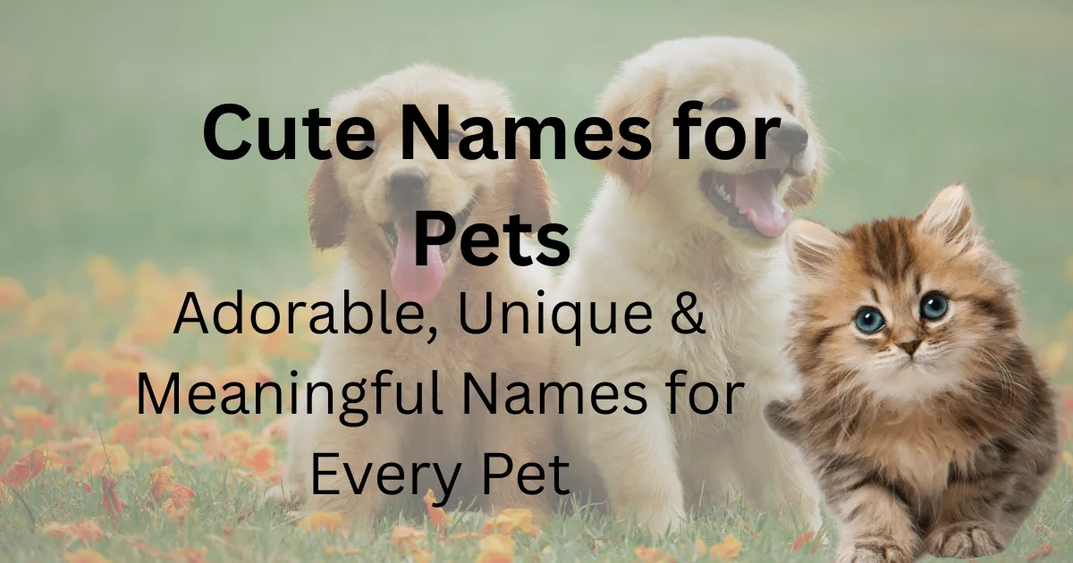 Cute Names for Pets