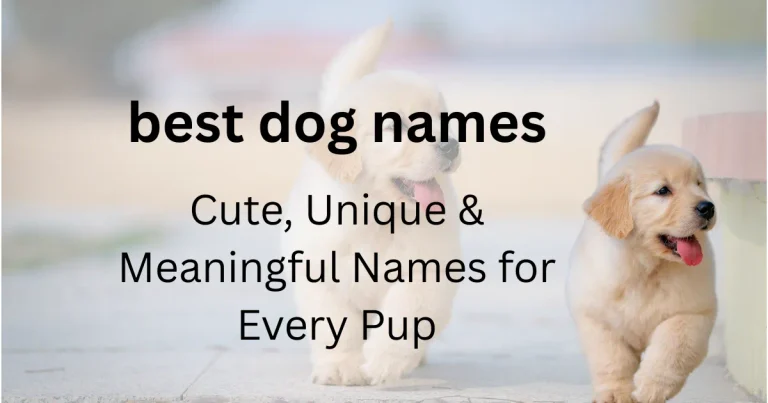 best dog names